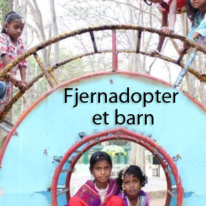 Bli fadder